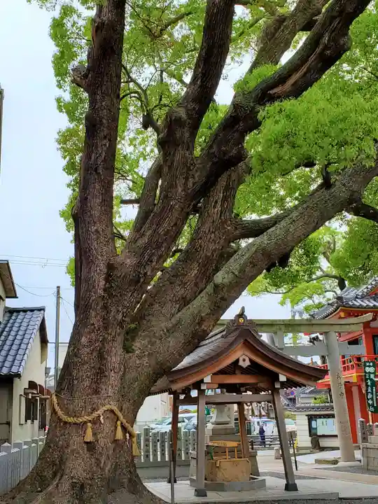 潮江素盞嗚神社の自然