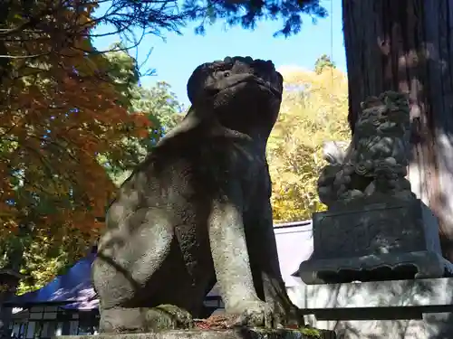 戸隠神社中社の狛犬