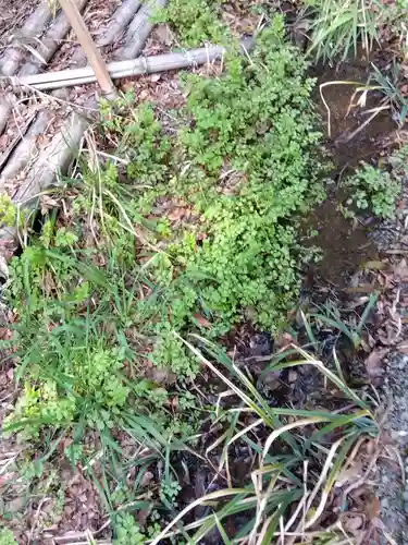 王禅寺(神奈川県)