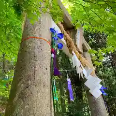 滑川神社 - 仕事と子どもの守り神の鳥居