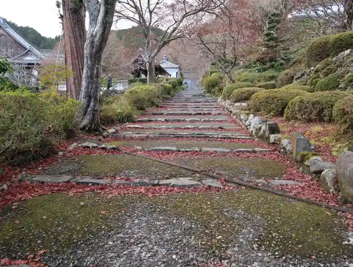 善峯寺(京都府)