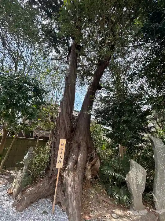 星宮神社(栃木県)