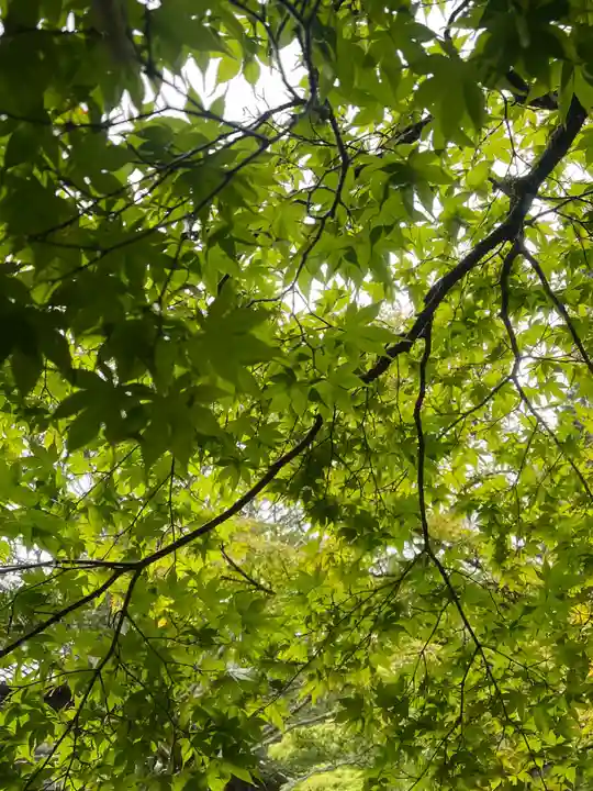西芳寺(京都府)