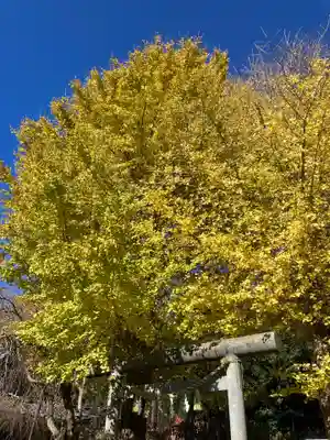 葛原岡神社(神奈川県)