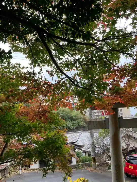 大山祇神社(福岡県)