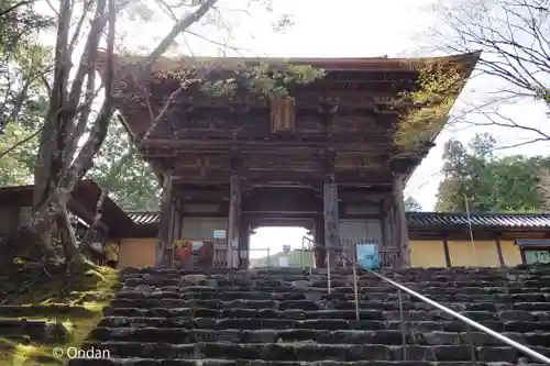 神護寺の山門