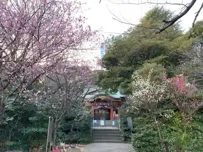 芝東照宮の自然