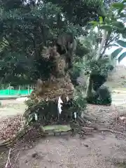 多氣神社の建物その他