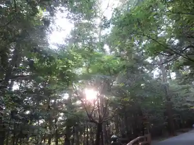 瀧原宮(皇大神宮別宮)(三重県)