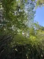 大山祇神社(伊勢神宮内宮)の{uncategorized: "未分類", other: "その他", undefined: "問題あり", building: "その他建物", grave: "お墓", sacred_gate: "鳥居", guardian: "狛犬", statue: "像", buddha: "仏像", history: "歴史", nature: "自然", garden: "庭園", animal: "動物", pagoda: "塔", temizu: "手水舎", mountain_gate: "山門・神門", sanctuary: "本殿・本堂", subordinate: "末社・摂社", art: "芸術", scenery: "景色", jizo: "地蔵", ema: "絵馬", goshuin: "御朱印", omikuji: "おみくじ", items: "授与品その他", amulet: "お守り", goshuincho: "御朱印帳", eats: "食事", festival: "お祭り", votive_dance: "神楽", shichigosan: "七五三参", wedding: "結婚式", experience: "体験その他", initially: "初詣", around: "周辺", anti_infection: "感染症対策"}