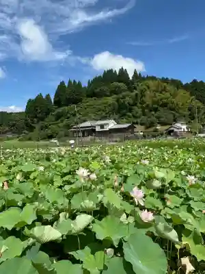 臼杵石仏(大分県)