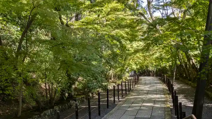光明寺(粟生光明寺)(京都府)