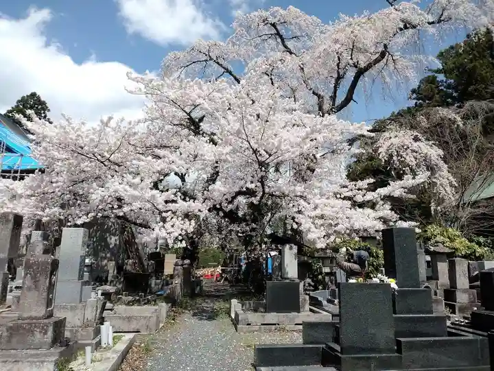 妙徳寺(福島県)