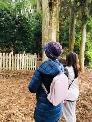 天鷹神社(岐阜県)