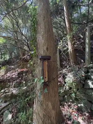 峯神社(大麻比古神社奥宮)(徳島県)