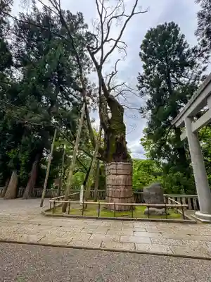 白山比咩神社(石川県)