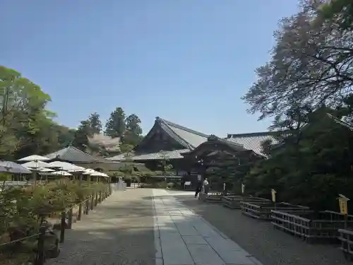長谷寺本坊　大講堂(奈良県)