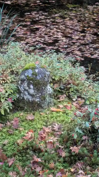 三千院門跡(京都府)