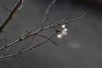 国宝 大法寺(長野県)