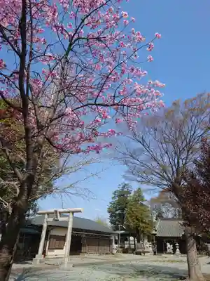 子聖神社(神奈川県)