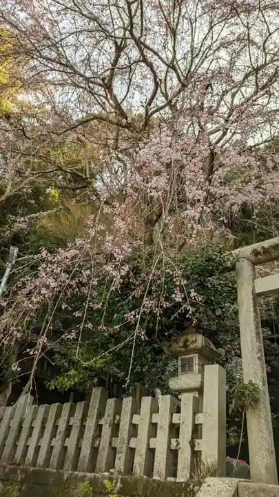 大豊神社(京都府)