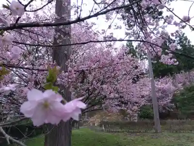 霊泉寺(福井県)