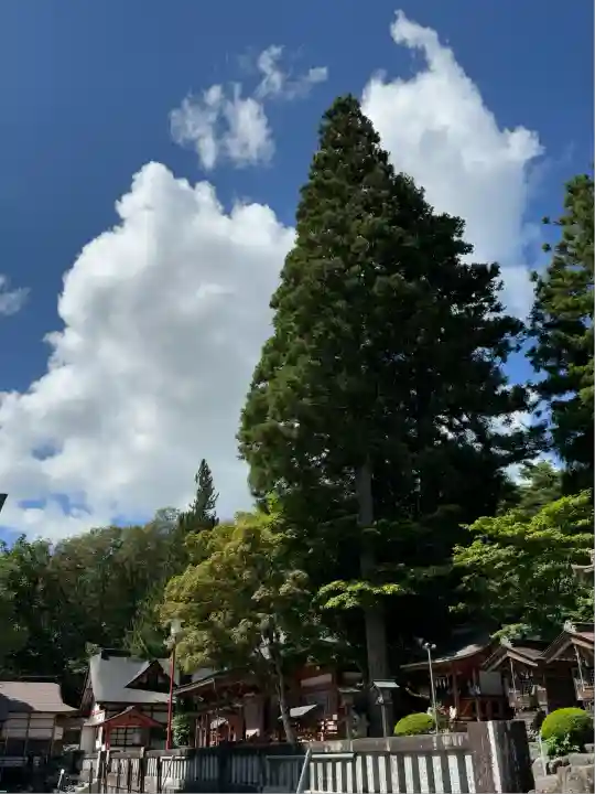 遠野郷八幡宮(岩手県)