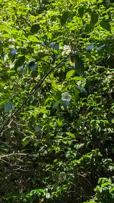 東林院(京都府)