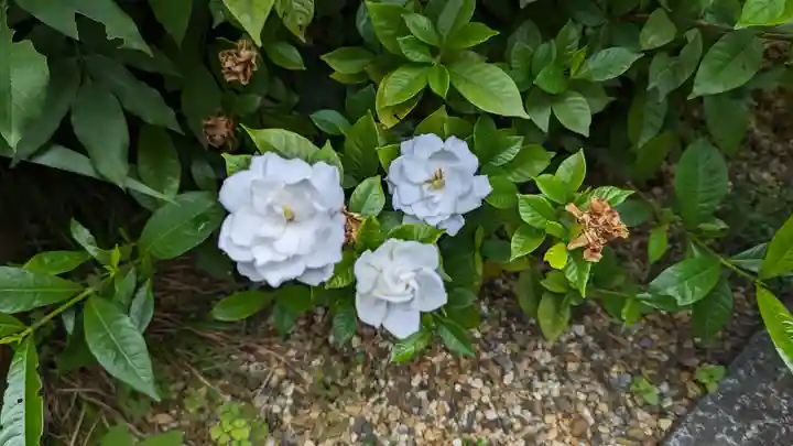 尊陽院(京都府)