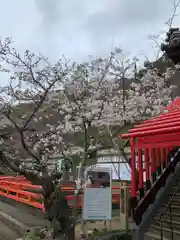 金剛宝寺（紀三井寺）(和歌山県)