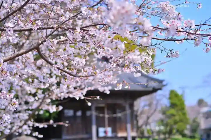 川和八幡神社(神奈川県)