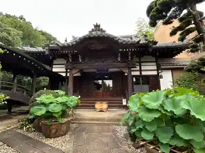 龍福寺(東京都)