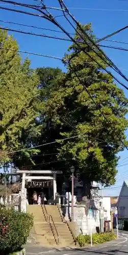 矢切神社の鳥居