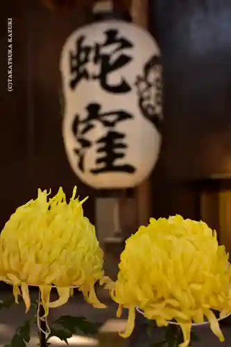 蛇窪神社の自然