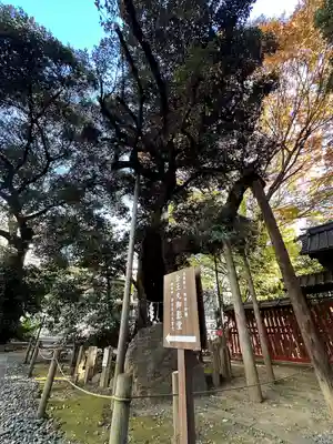 金王八幡宮(東京都)