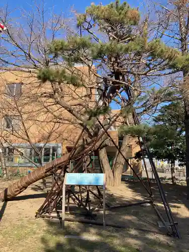 江南神社の自然