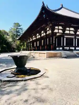 唐招提寺の{uncategorized: "未分類", other: "その他", undefined: "問題あり", building: "その他建物", grave: "お墓", sacred_gate: "鳥居", guardian: "狛犬", statue: "像", buddha: "仏像", history: "歴史", nature: "自然", garden: "庭園", animal: "動物", pagoda: "塔", temizu: "手水舎", mountain_gate: "山門・神門", sanctuary: "本殿・本堂", subordinate: "末社・摂社", art: "芸術", scenery: "景色", jizo: "地蔵", ema: "絵馬", goshuin: "御朱印", omikuji: "おみくじ", items: "授与品その他", amulet: "お守り", goshuincho: "御朱印帳", eats: "食事", festival: "お祭り", votive_dance: "神楽", shichigosan: "七五三参", wedding: "結婚式", experience: "体験その他", initially: "初詣", around: "周辺", anti_infection: "感染症対策"}