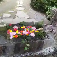 柳津虚空蔵尊 寳性院(宮城県)