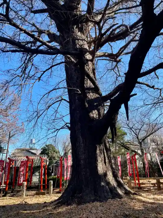 武芳稲荷神社の{uncategorized: "未分類", other: "その他", undefined: "問題あり", building: "その他建物", grave: "お墓", sacred_gate: "鳥居", guardian: "狛犬", statue: "像", buddha: "仏像", history: "歴史", nature: "自然", garden: "庭園", animal: "動物", pagoda: "塔", temizu: "手水舎", mountain_gate: "山門・神門", sanctuary: "本殿・本堂", subordinate: "末社・摂社", art: "芸術", scenery: "景色", jizo: "地蔵", ema: "絵馬", goshuin: "御朱印", omikuji: "おみくじ", items: "授与品その他", amulet: "お守り", goshuincho: "御朱印帳", eats: "食事", festival: "お祭り", votive_dance: "神楽", shichigosan: "七五三参", wedding: "結婚式", experience: "体験その他", initially: "初詣", around: "周辺", anti_infection: "感染症対策"}