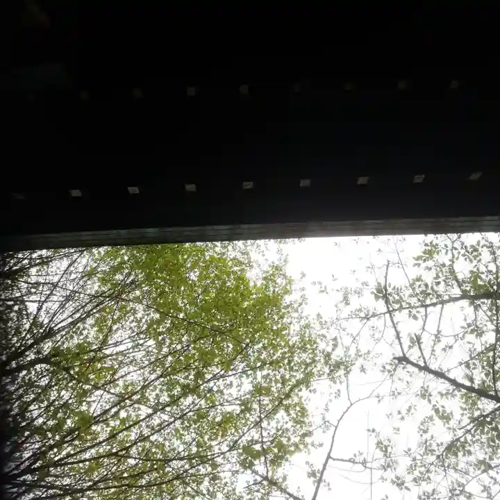 櫻木神社の自然