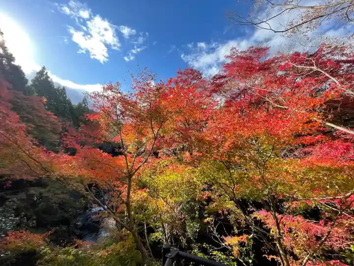 長徳寺(三重県)