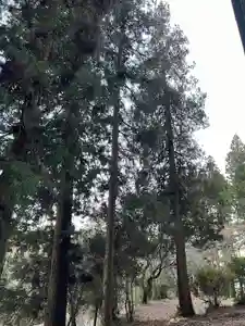 大宮温泉神社(栃木県)(2024年02月03日(土) 08時06分39秒投稿)