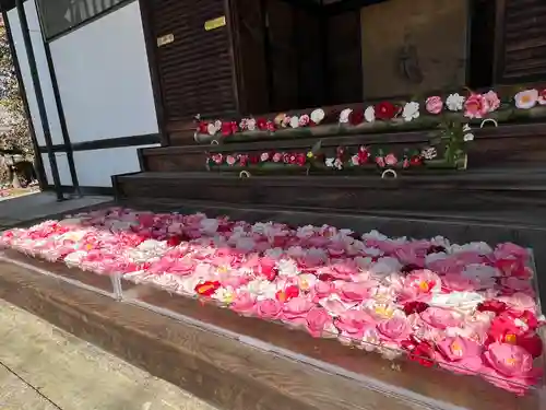 霊鑑寺門跡(京都府)