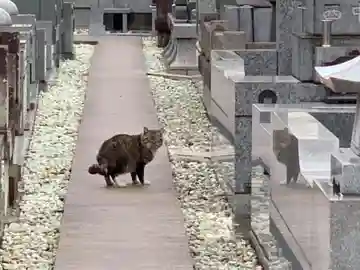 圓頓寺(千葉県)