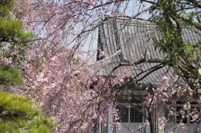 善福寺のその他建物