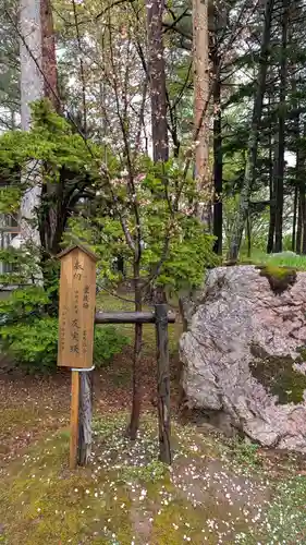 旭川天満宮(北海道)