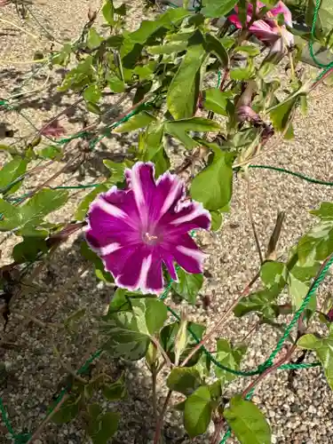 神炊館神社 ⁂奥州須賀川総鎮守⁂(福島県)
