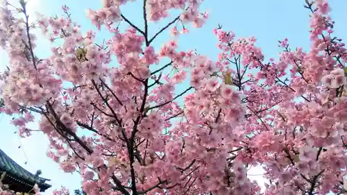 清凉寺の庭園