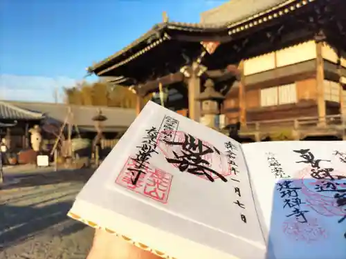 妙蓮寺の御朱印