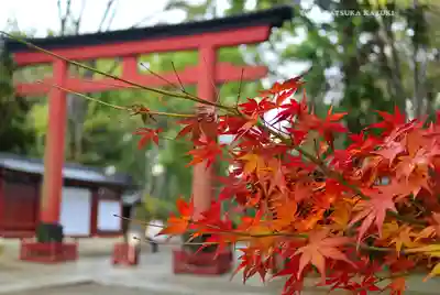 武蔵一宮氷川神社(埼玉県)